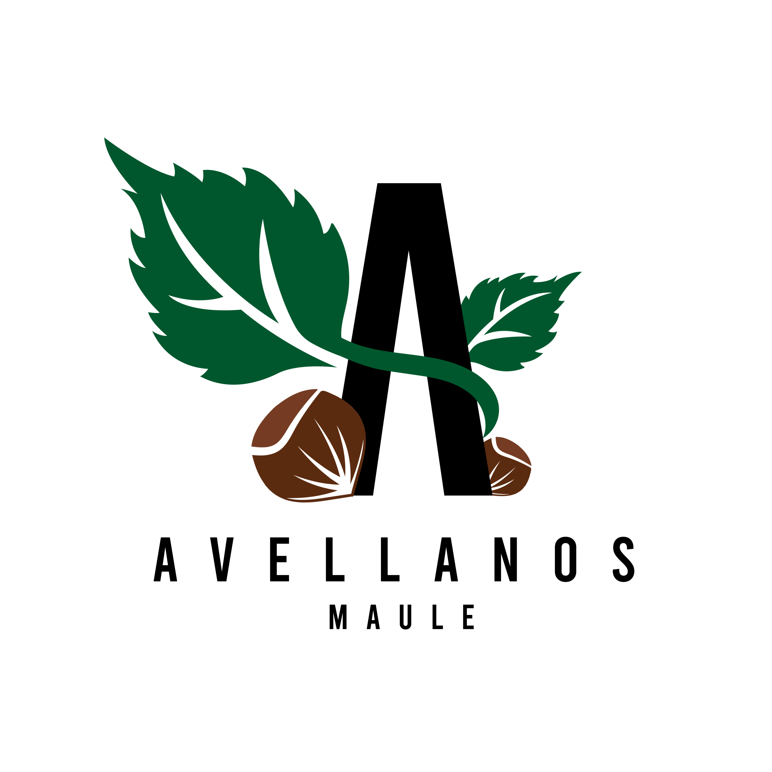 AvellanosMaule